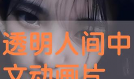 透明人间动漫在线观看,揭秘虚拟与现实交织的奇幻动漫世界