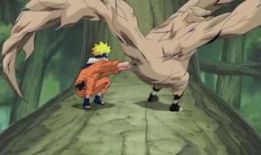 甲贺忍法帖动漫,暗影中的忍者传奇